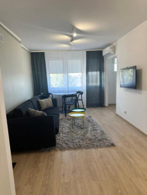 Apartament nad Iławką, Gmina Iława